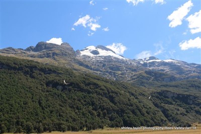 Leaning Rock / Rees Valley - Shirley Taylor