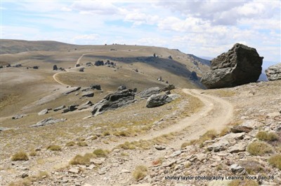 Leaning Rock / Rees Valley - Shirley Taylor