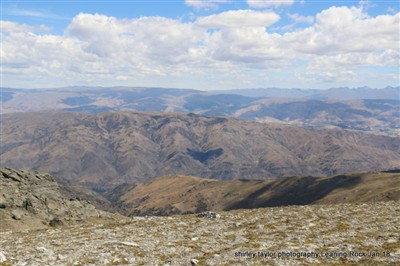 Leaning Rock / Rees Valley - Shirley Taylor