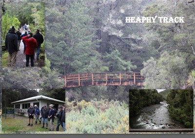 Takaka and environs - pics by Noel Pullan