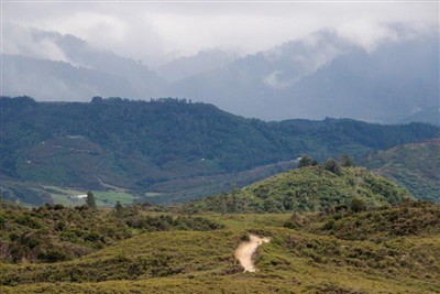 Takaka and environs - pics by Noel Pullan