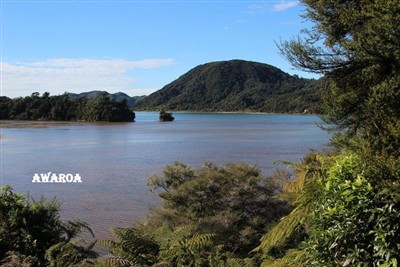 Takaka and environs - pics by Noel Pullan