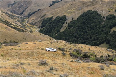 Forest Range - pics by Shirley Taylor