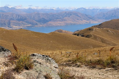 Forest Range - pics by Shirley Taylor