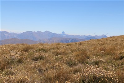 Forest Range - pics by Shirley Taylor