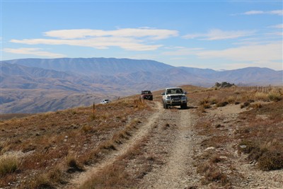 Forest Range - pics by Shirley Taylor