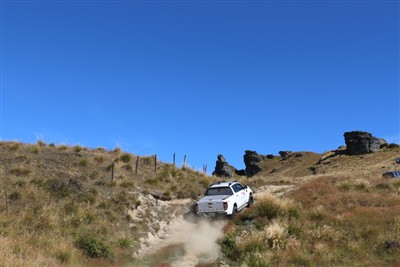 Forest Range - pics by Shirley Taylor
