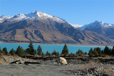 Mt Cook Station - social trip