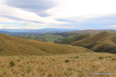 Mt Nessing - South Canterbury