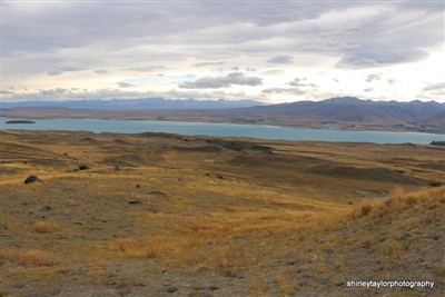 Mt Hay - Tekapo area