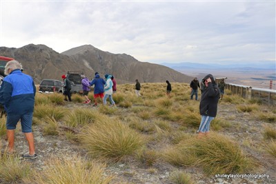 Mt Hay - Tekapo area