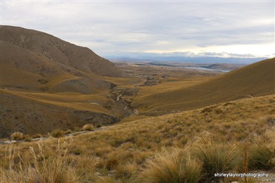 Mt Hay - Tekapo area
