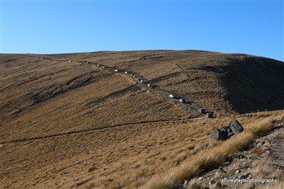 Ribbonwood Station - Ohau area