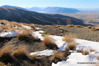 Ribbonwood Station - Ohau area
