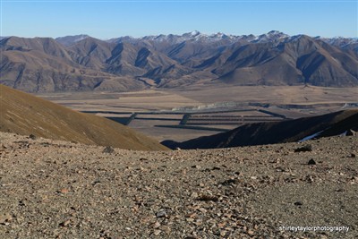 Ribbonwood Station - Ohau area