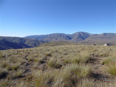 Mt Buster - 6 Huts - Oteake Conservation Park