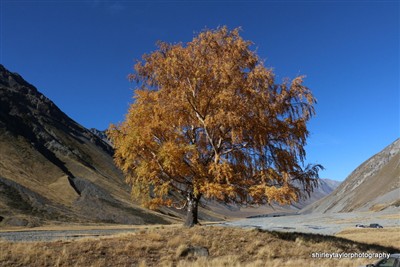 Cass Valley - Tekapo
