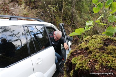 Reefton and environs - June -2022