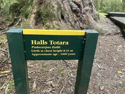 Tuatapere and environs - Glen McGregor