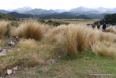 Mossburn environs - Combined Clubs