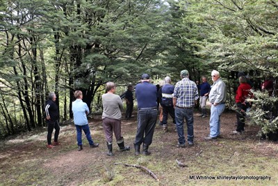 Mt Whitnow - pix by Shirley Taylor