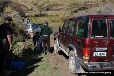 Mt Lyford and environs - pix by Shirley Taylor