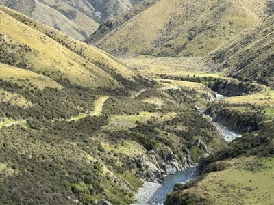 Orari Gorge River Track