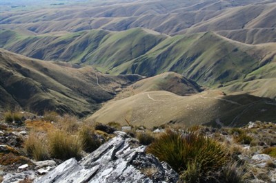 Mt Pisgah 19