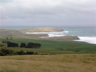 Catlins Combined Clubs - Lester Hewitt